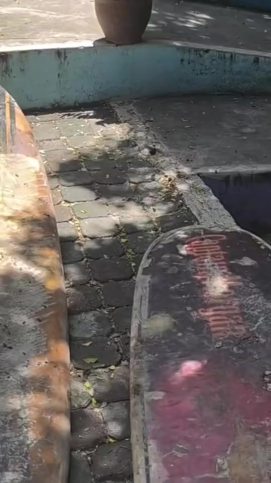 @晃晃悠悠