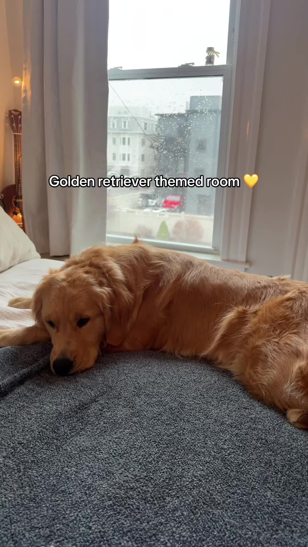 @Winter the Golden