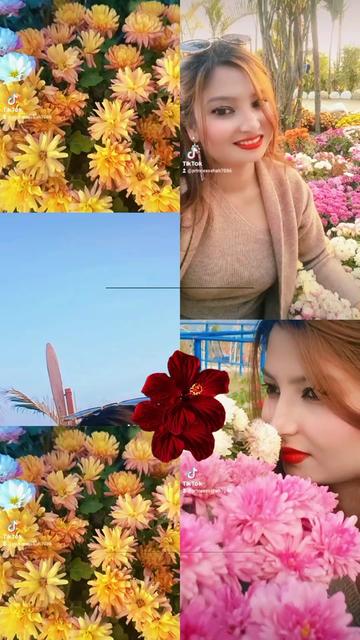 @mamtagupta057