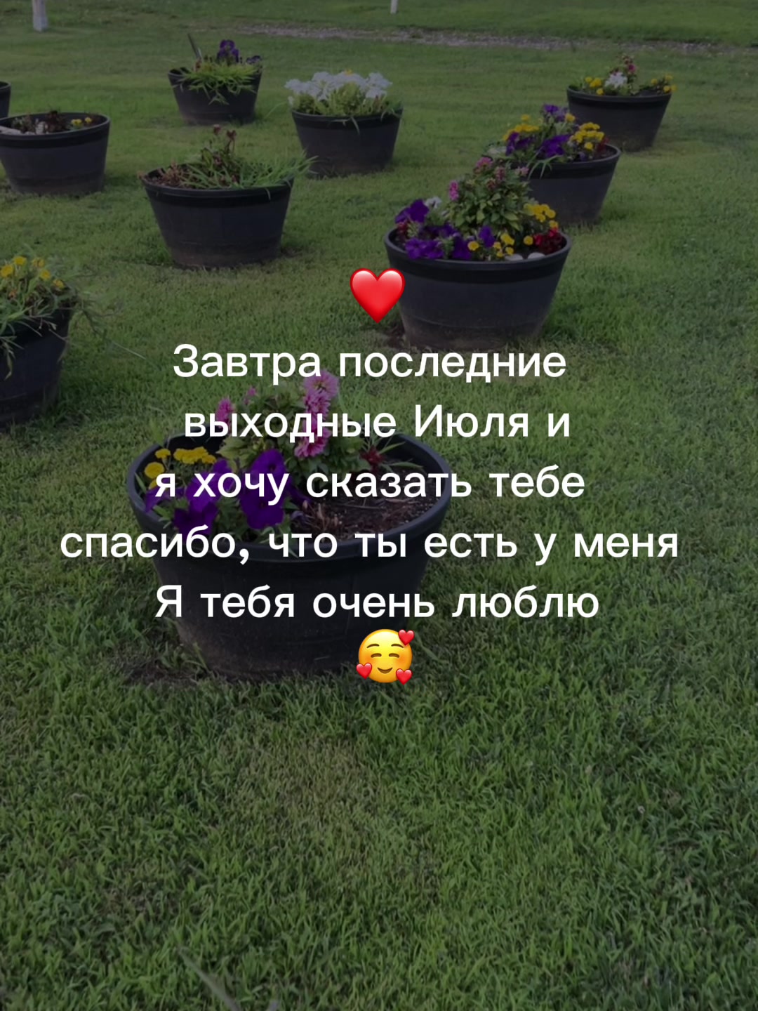 @muzdogz