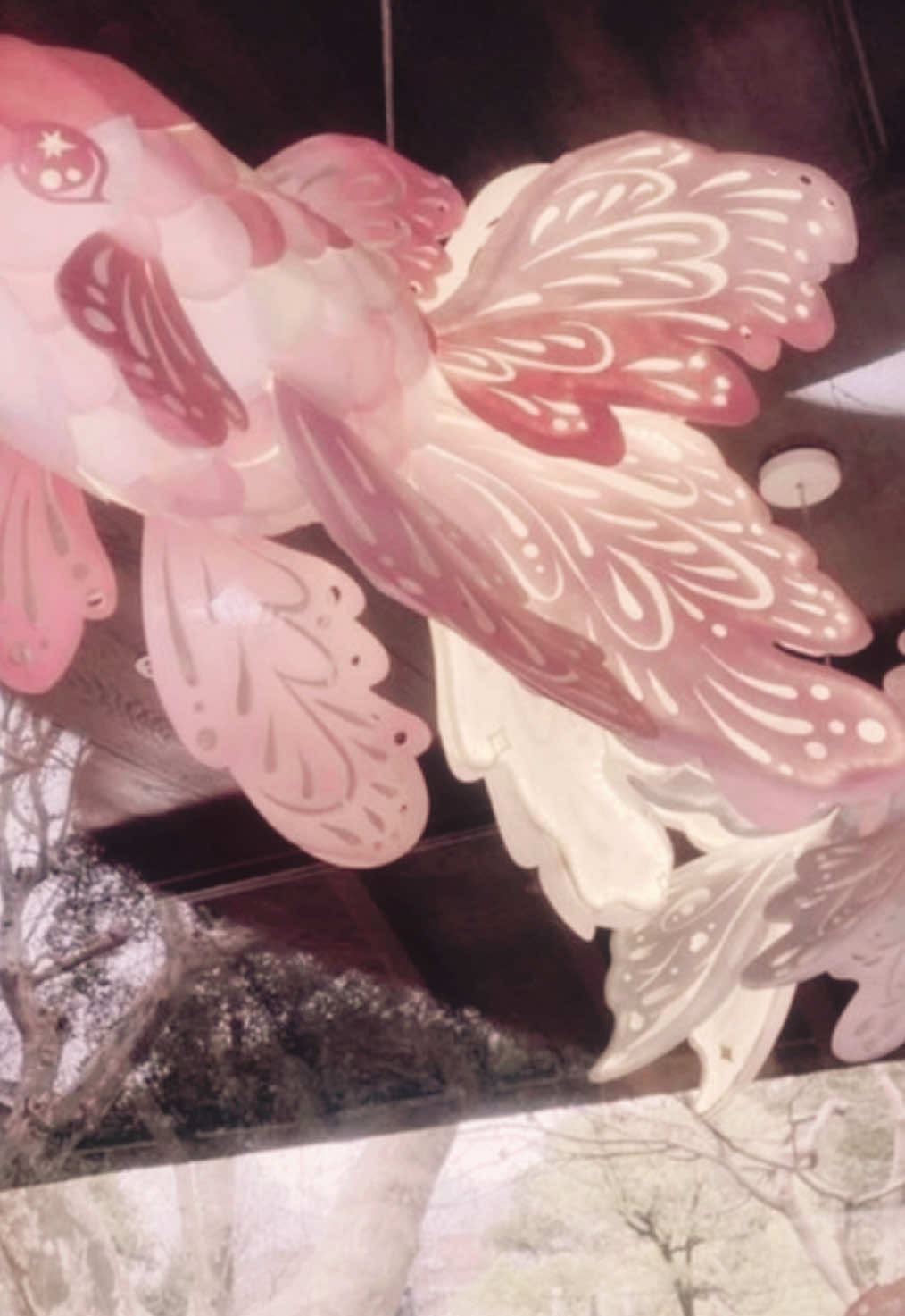 @᯽𓂃 ⊹𓍢ִ໋