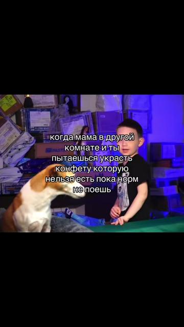 @эллита ⚡️
