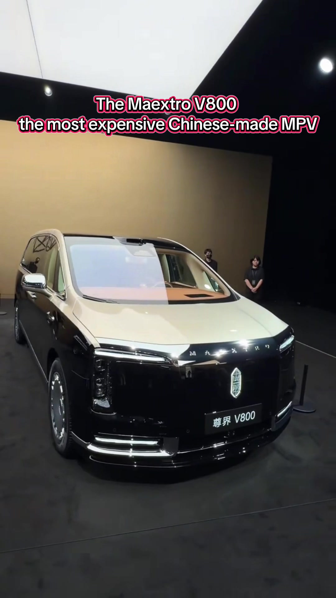 @China EV Reality