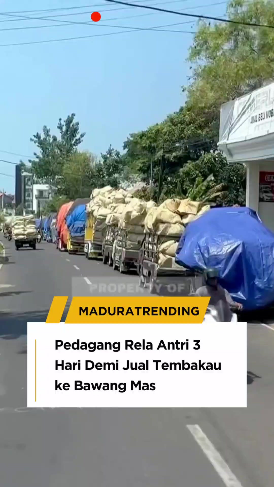 @maduratrending