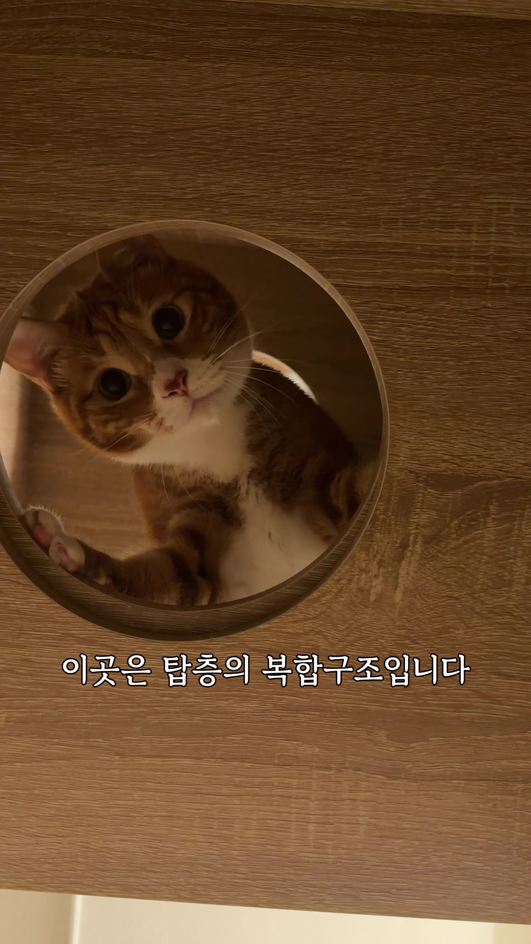 @뮤춘삼