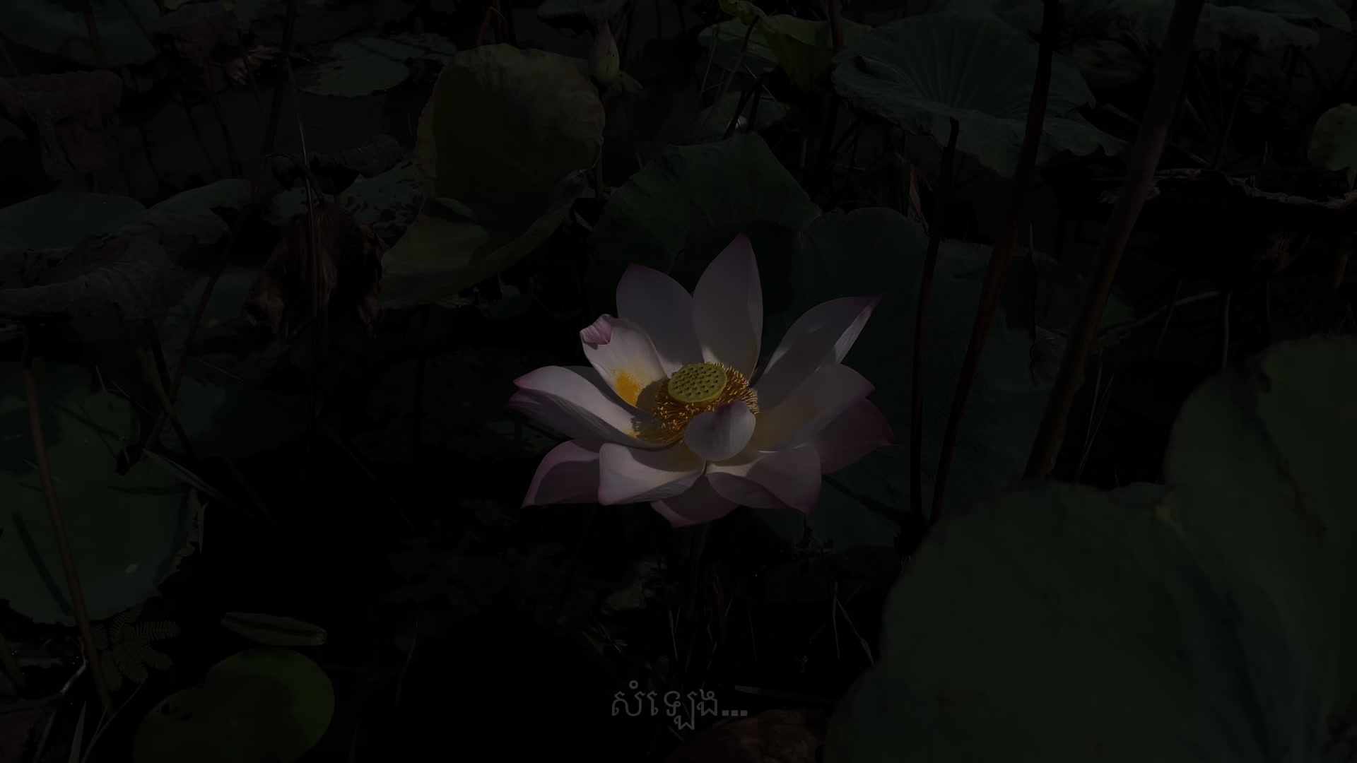 @សំឡេង…