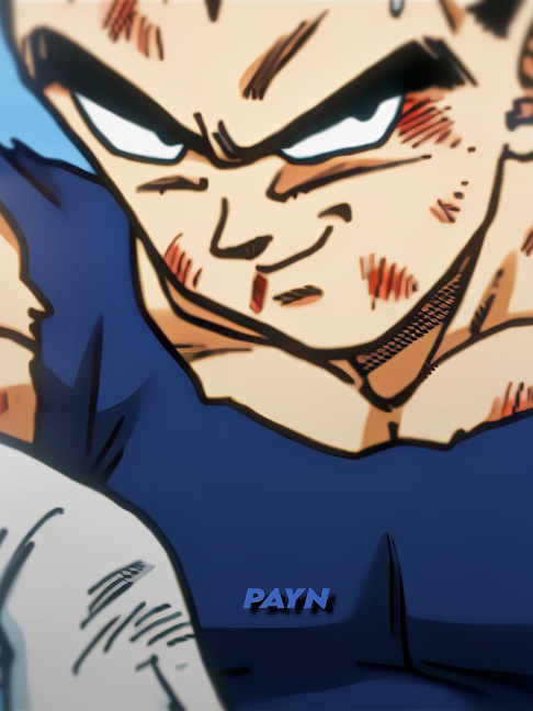 @payn_ae