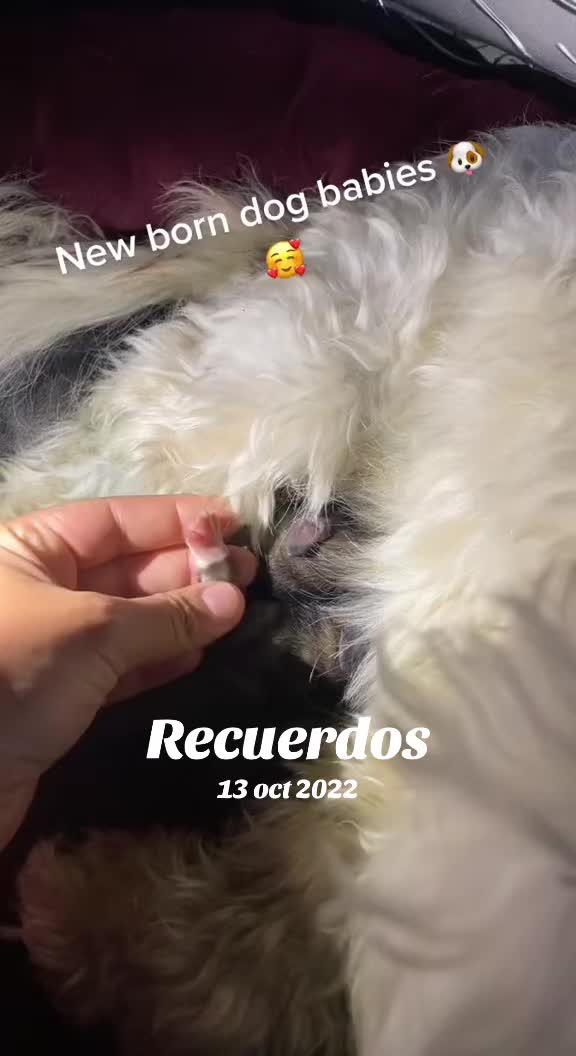 @Bianca E Luna