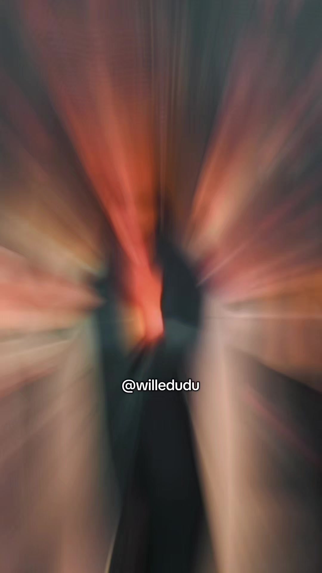 @willedudu