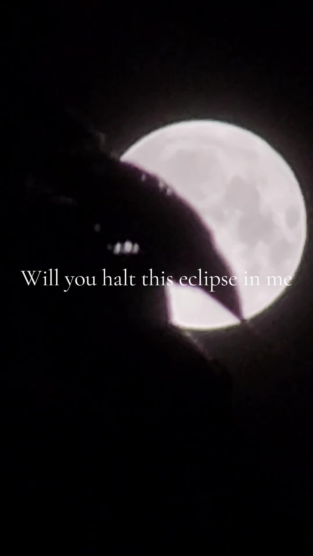 @ᛑᛗᛛ jamie_in_the_wild_ᛑᛗᛛ