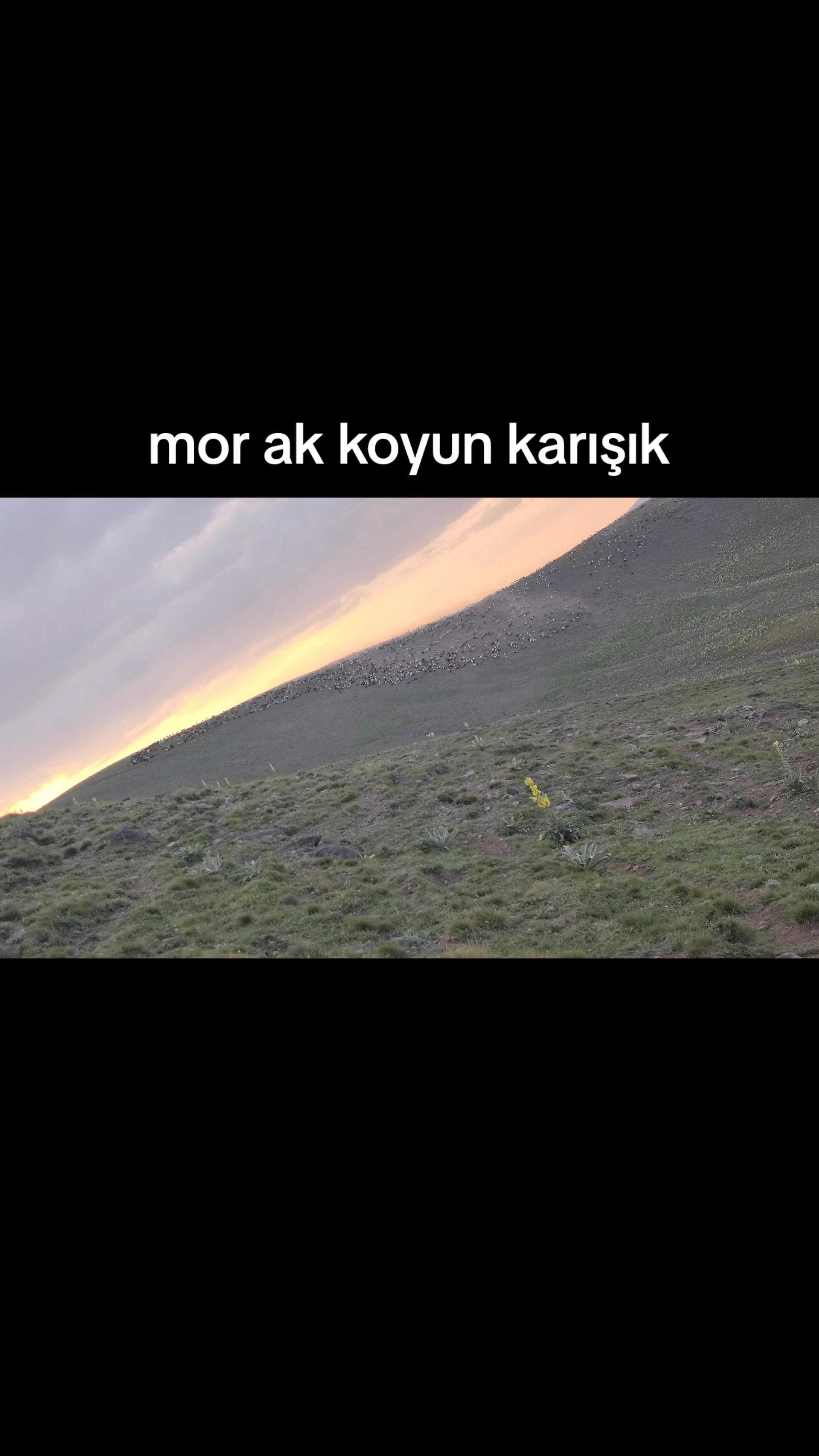 @Emrah Karapınar
