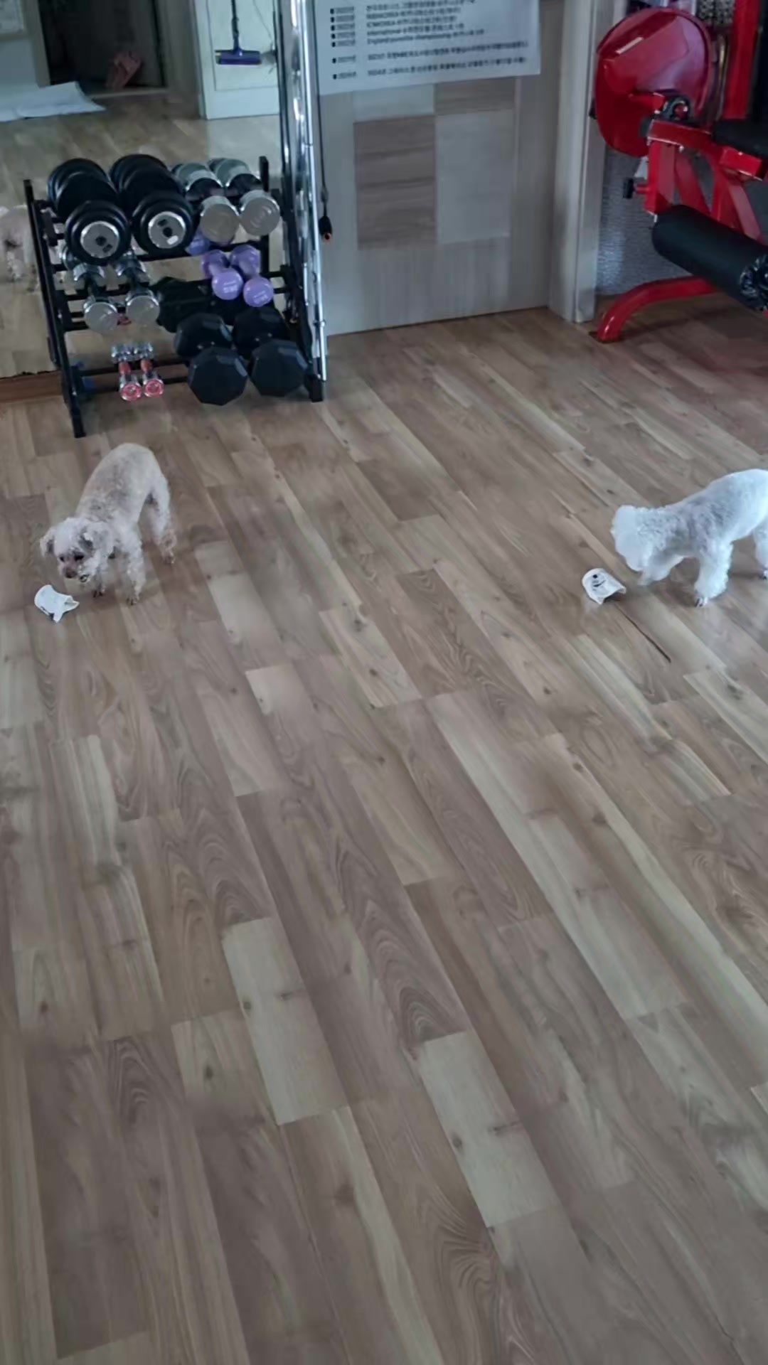 @ㄱ포항김개똥