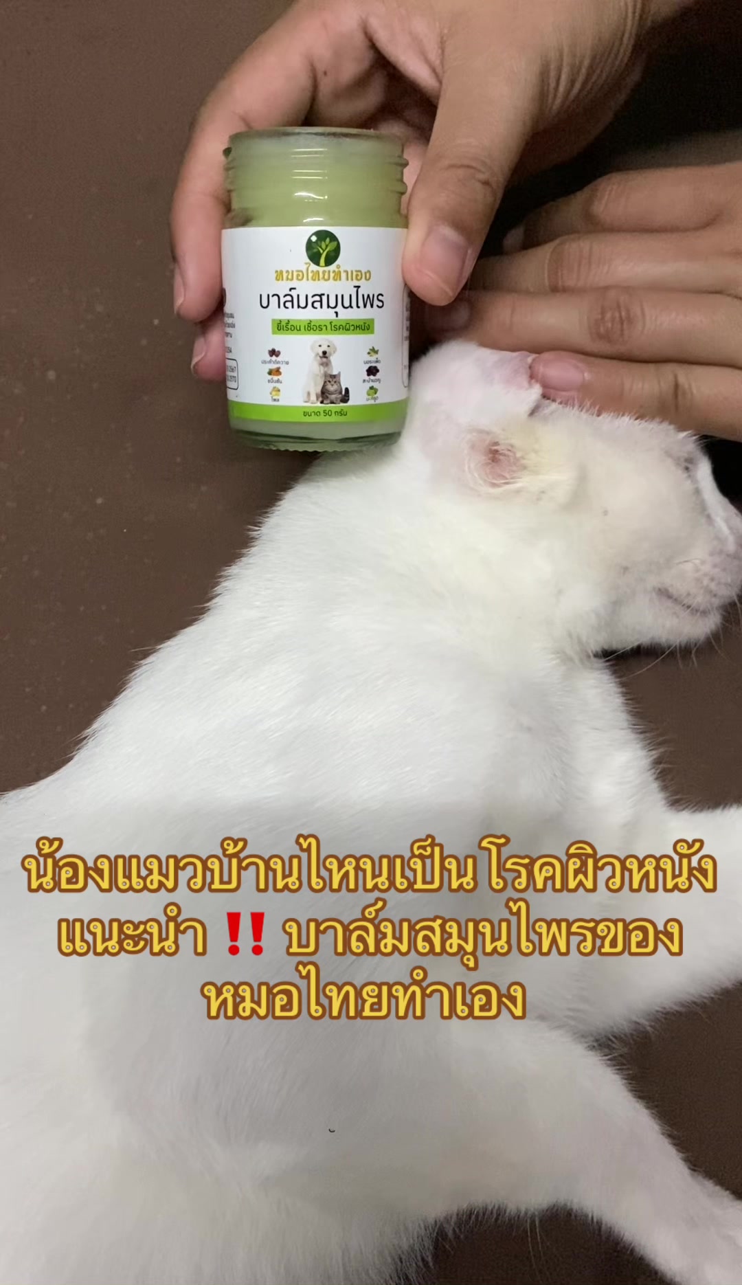 @εїз dokmai ✿ ꫂ ၴႅၴ
