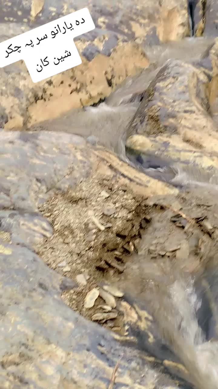 @جمیل خان