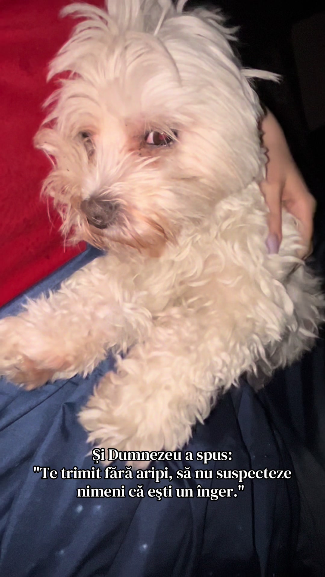 @Chris ✨
