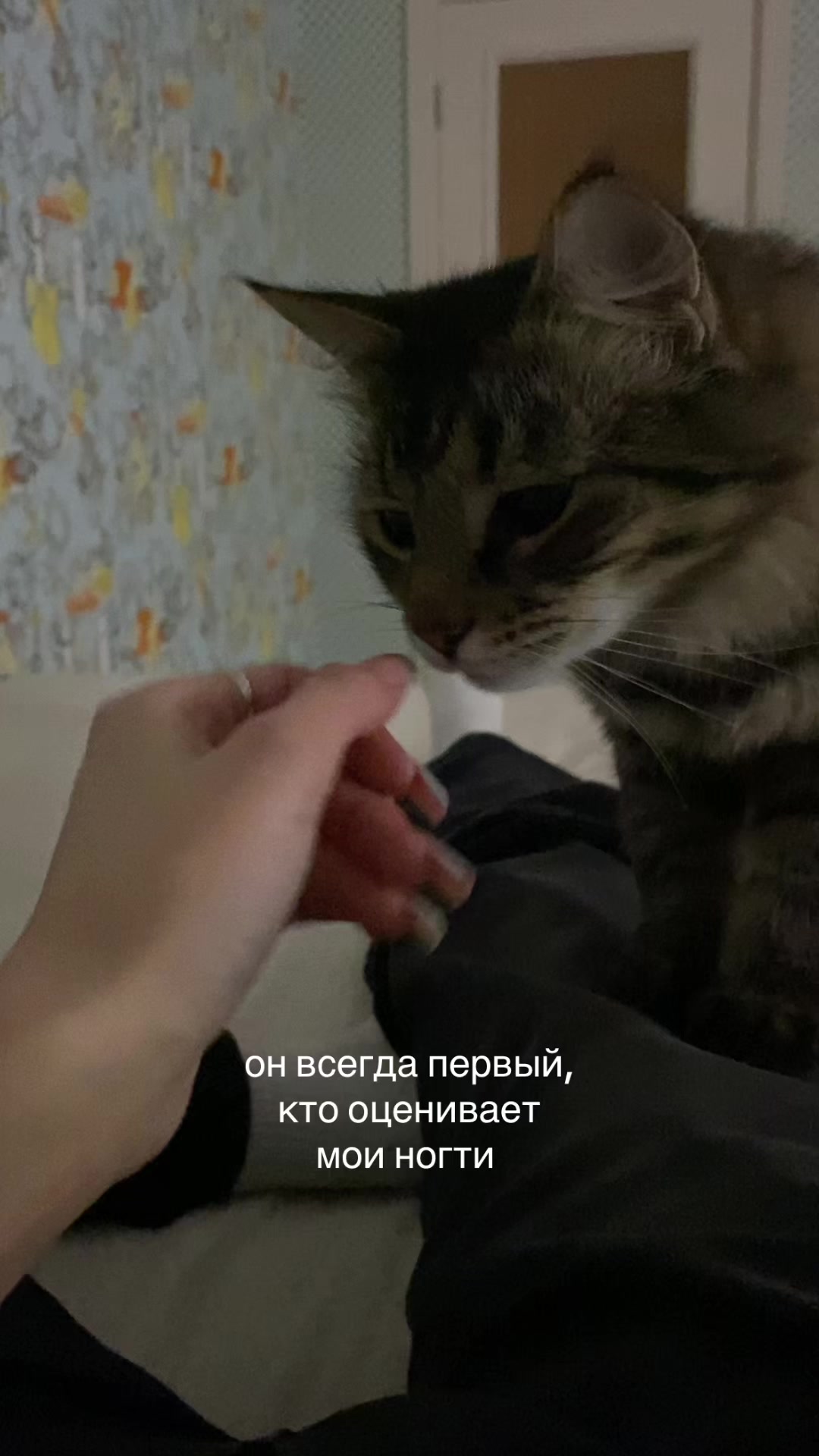 @Приколов ей