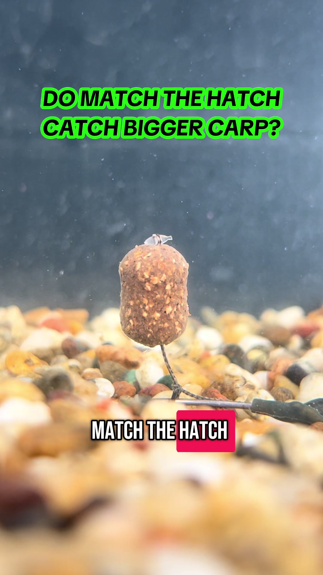 @CarpAddict