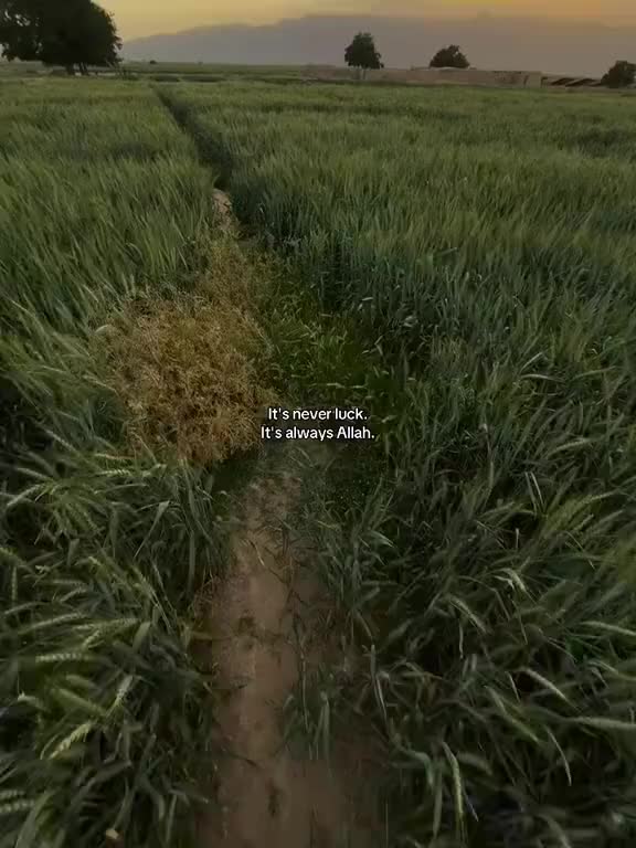 @آدم