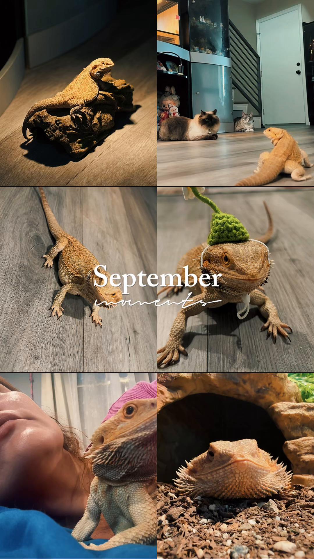 @pekis4ver