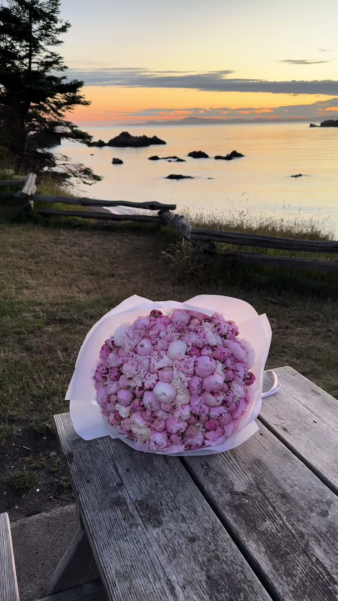 @solo.flowers