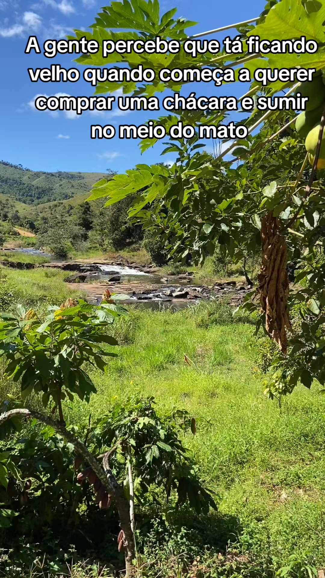 @Roça 🤠🌱