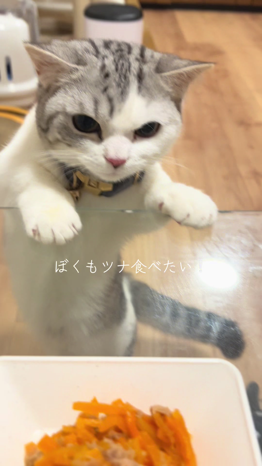 @短足マンチのえる♂