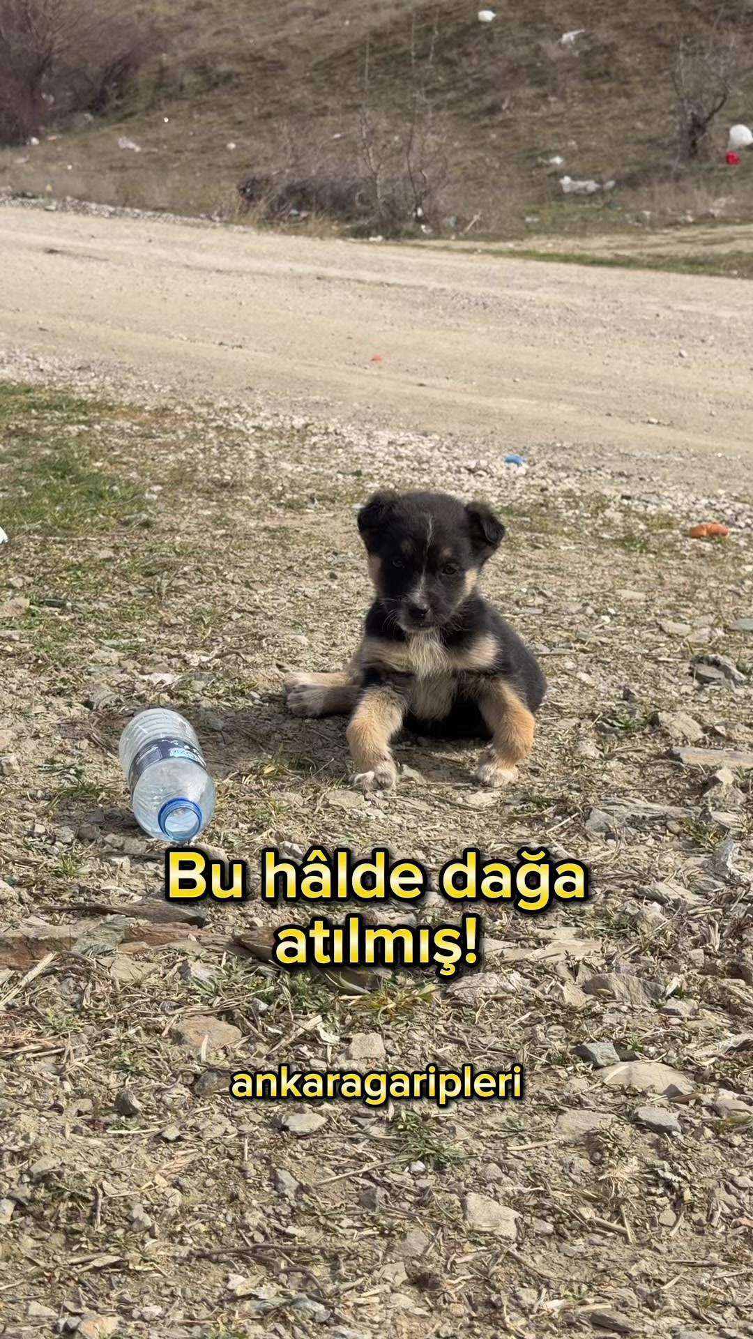 @Asiye