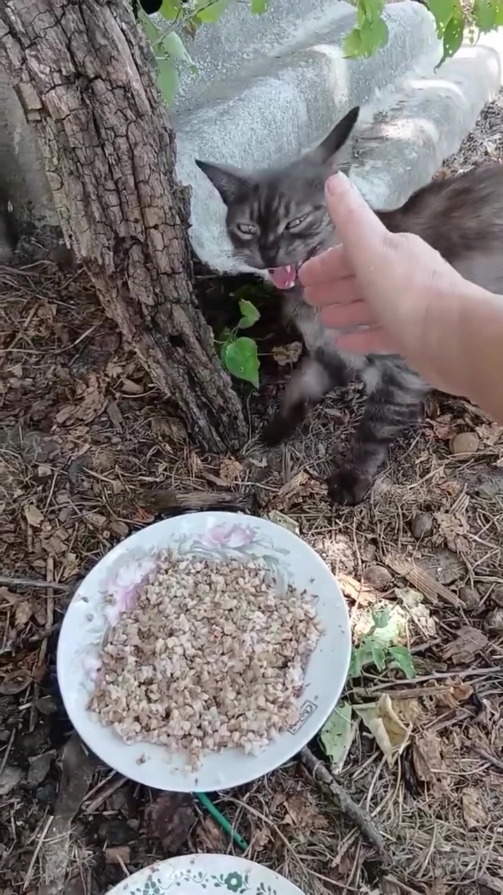 @Семейный Хуторок