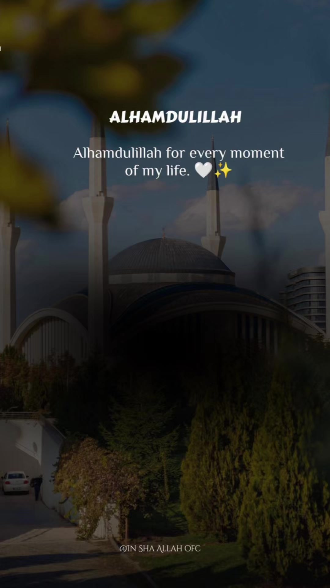 @Akleema