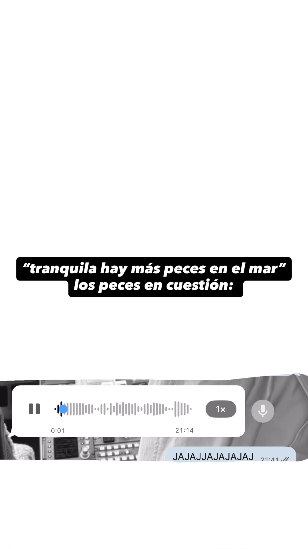 @claudiamrozz