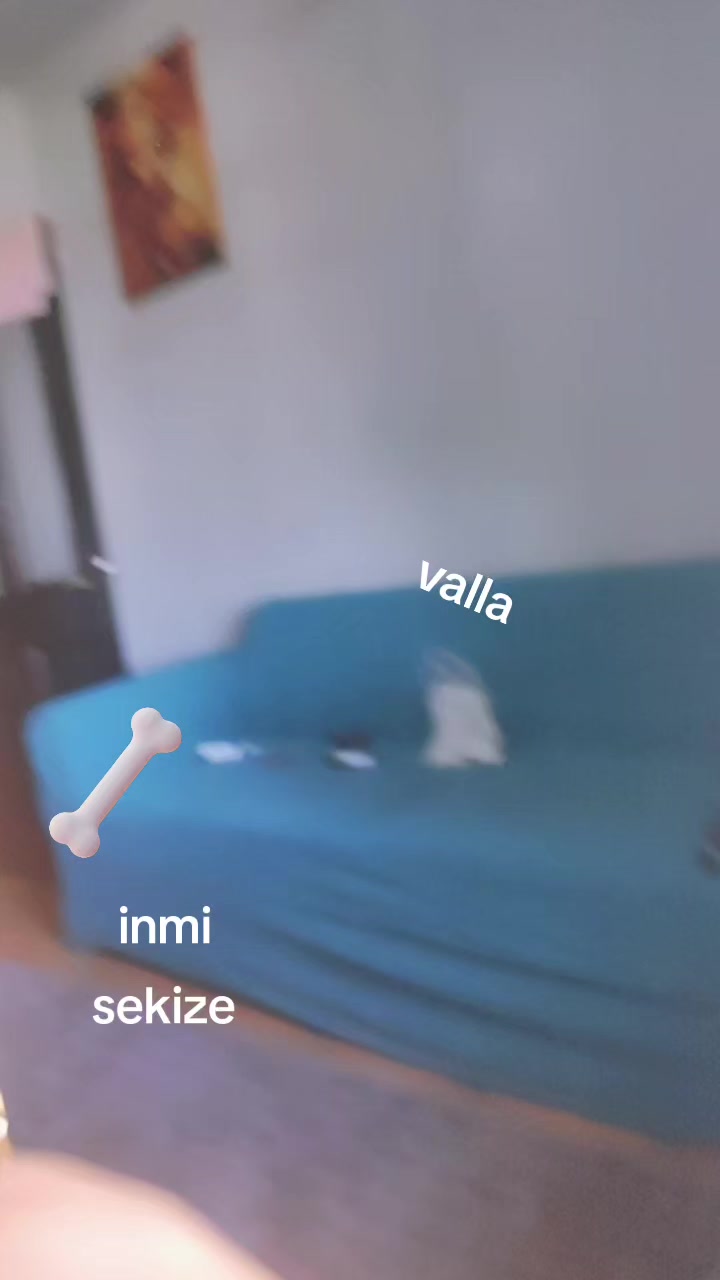 @Halev_Ege383
