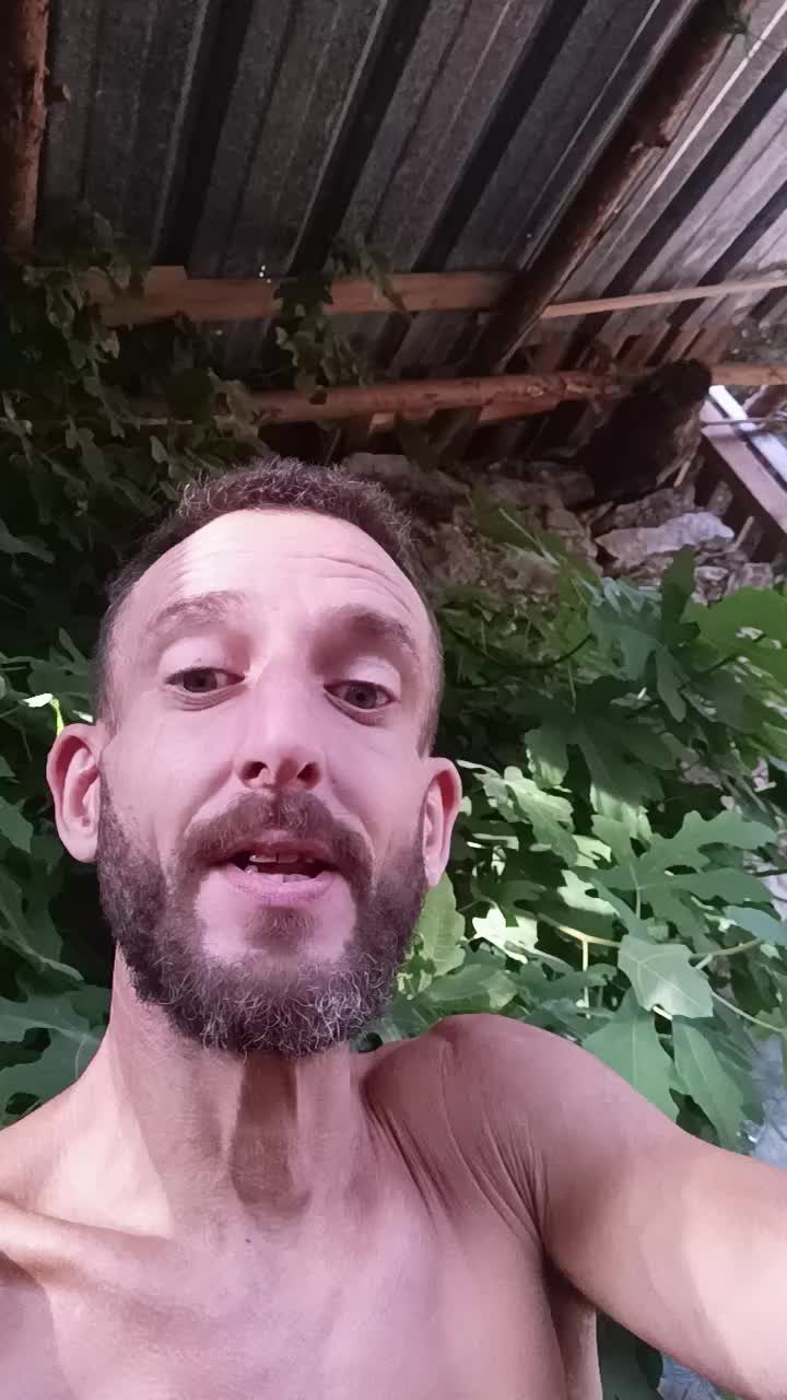 @Mansió de la gran vida