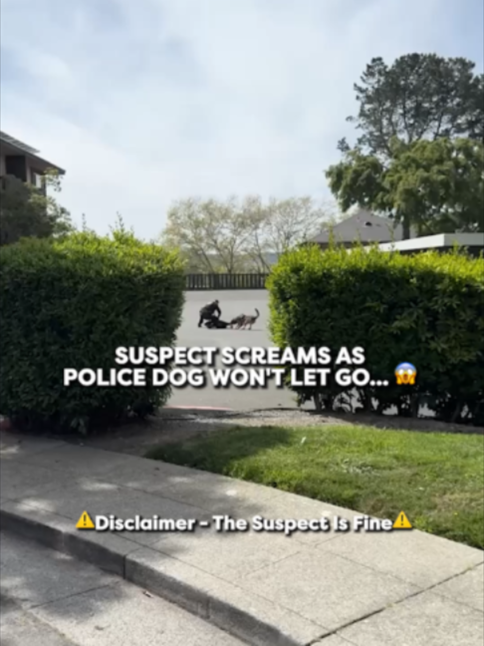 @Go Fetch