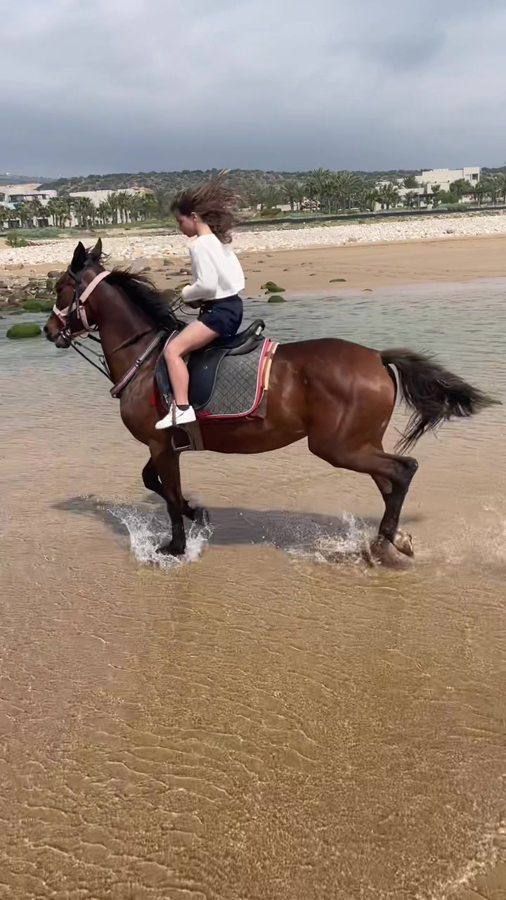 @Cheval_agadir