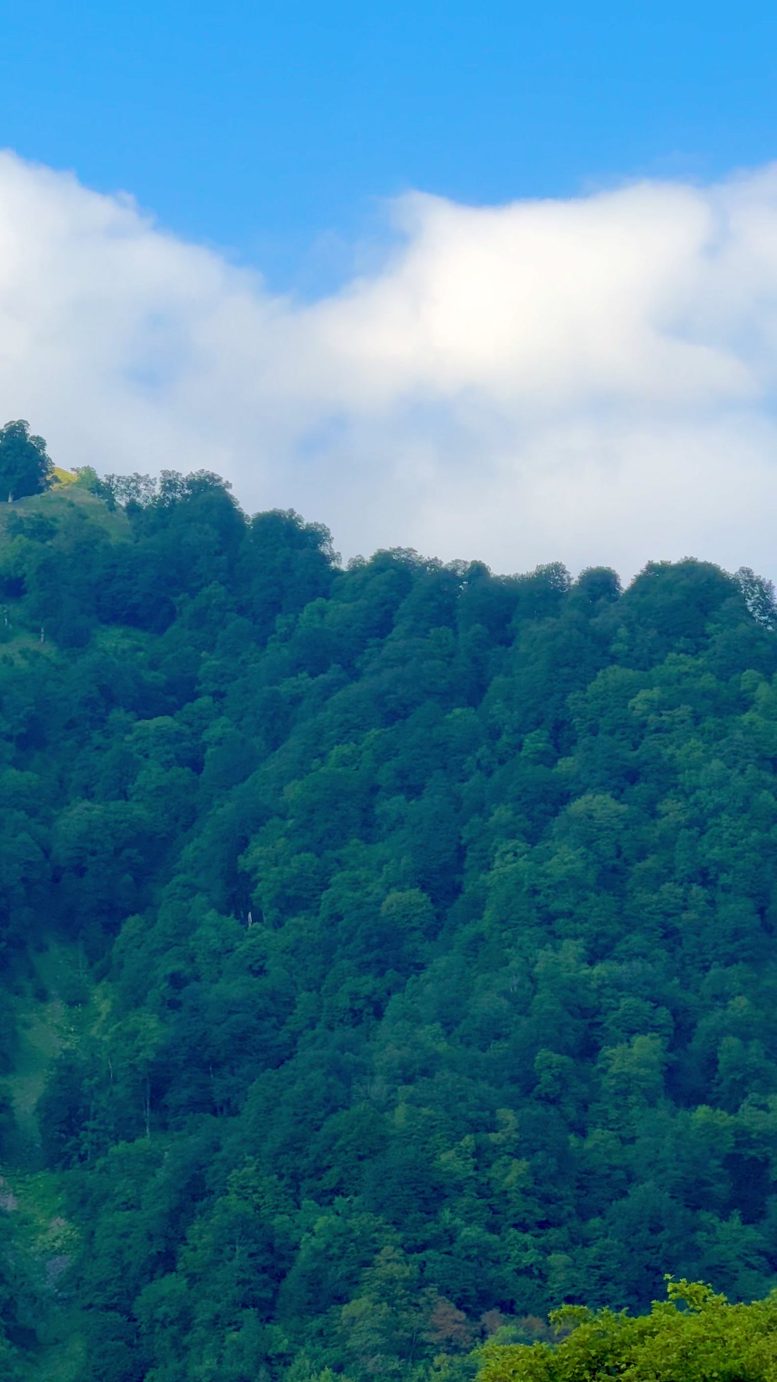 @𝐐𝐀𝐌𝐀𝐑𝐕𝐀𝐍 📍🌿