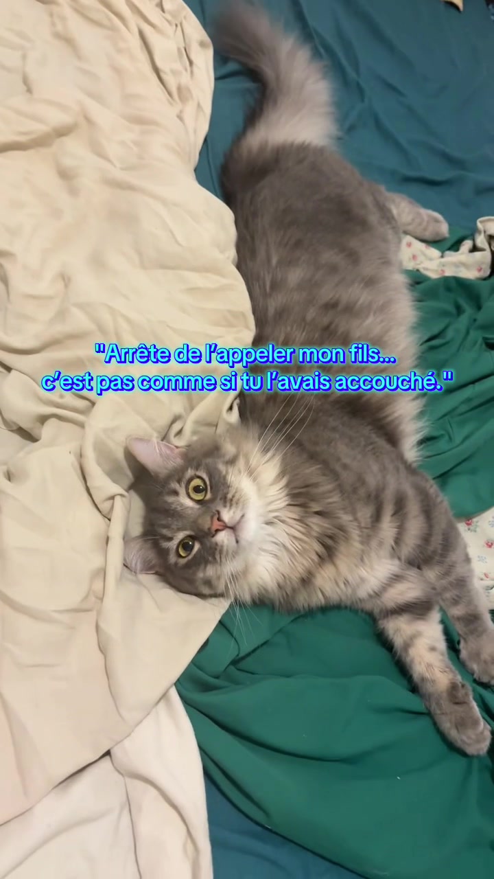 @Had&egrave;s & Zeus 🐱⚡️