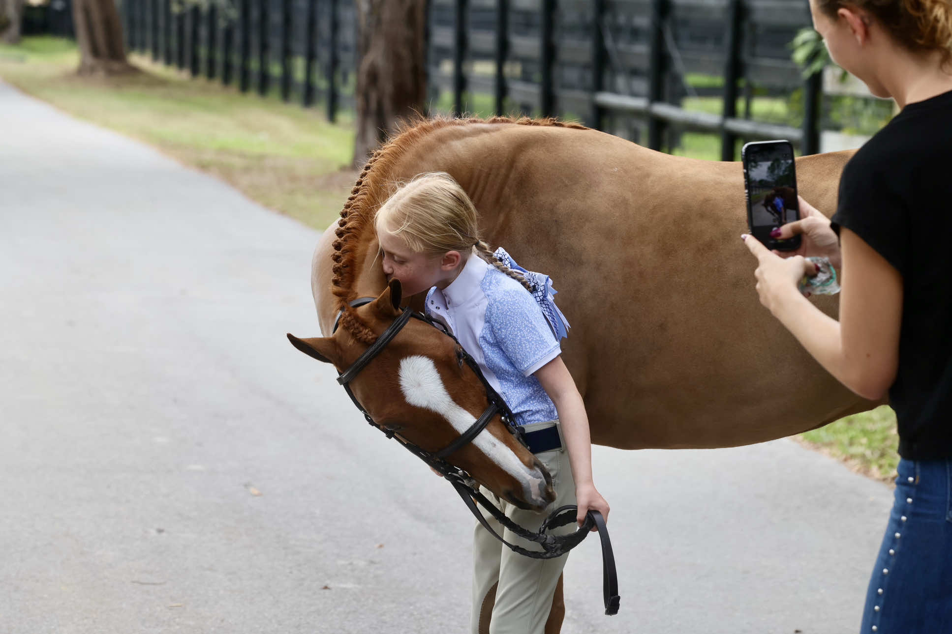 @ckponies