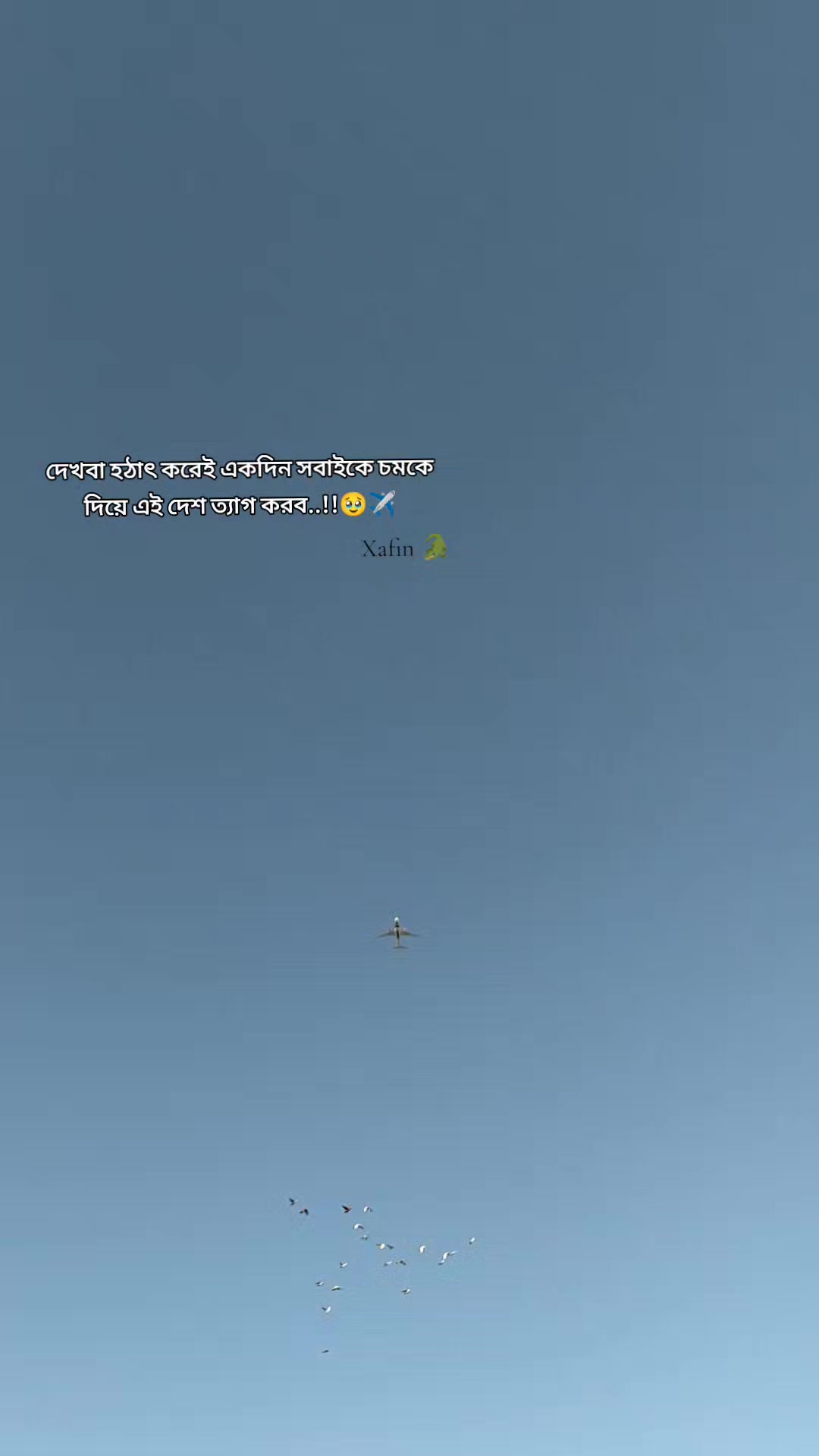 @᙭ᴀꜰɪᑎ 🐊