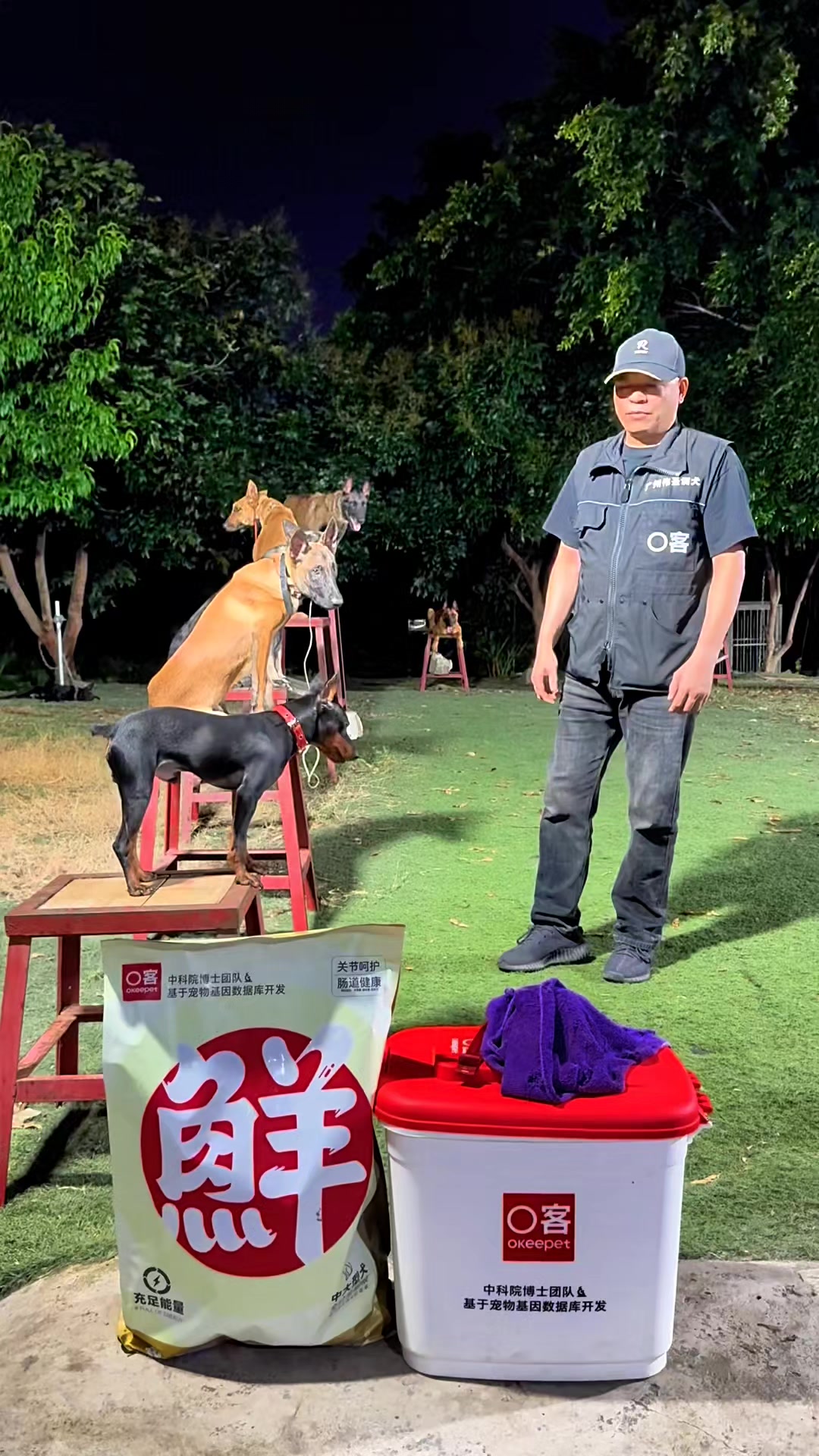 @Dog training ®