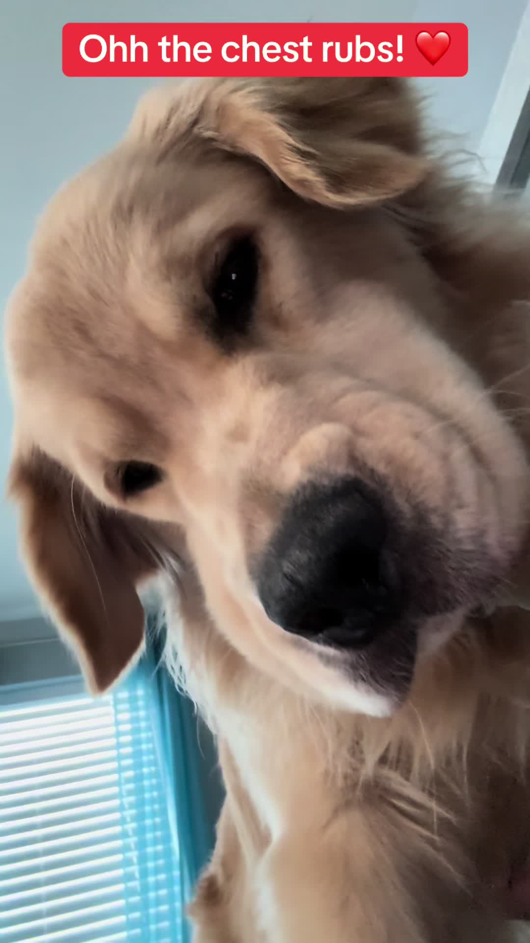 @Tucker_tha_Golden