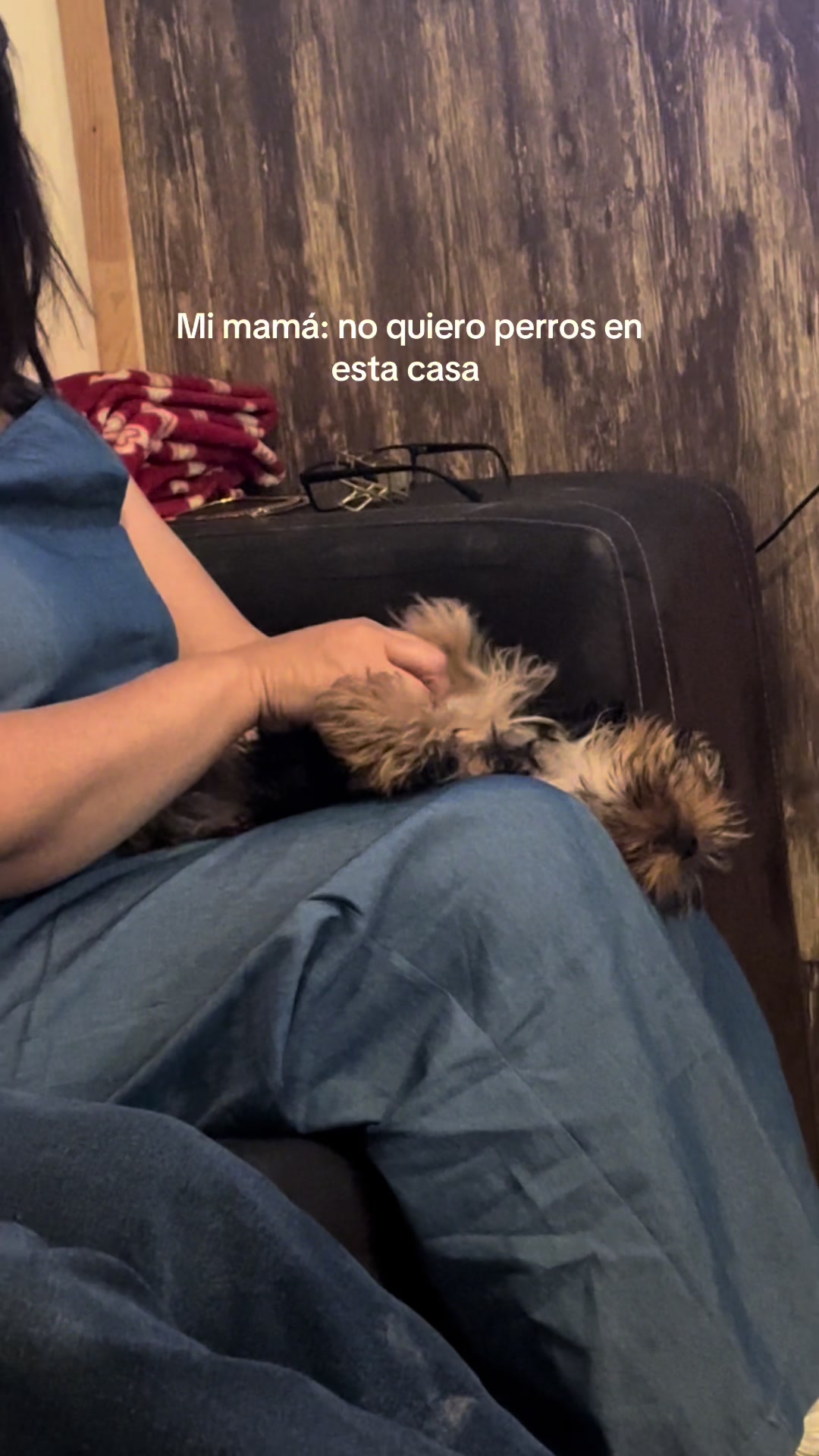@Mariana Vidal