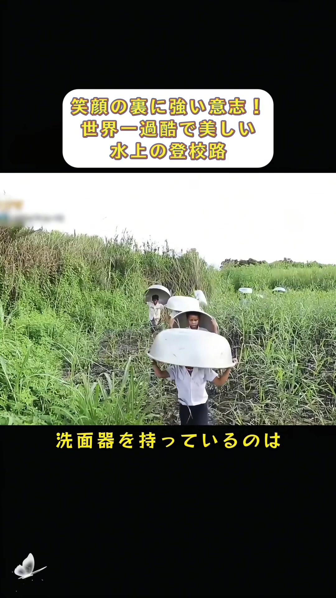 @SUSUのペン