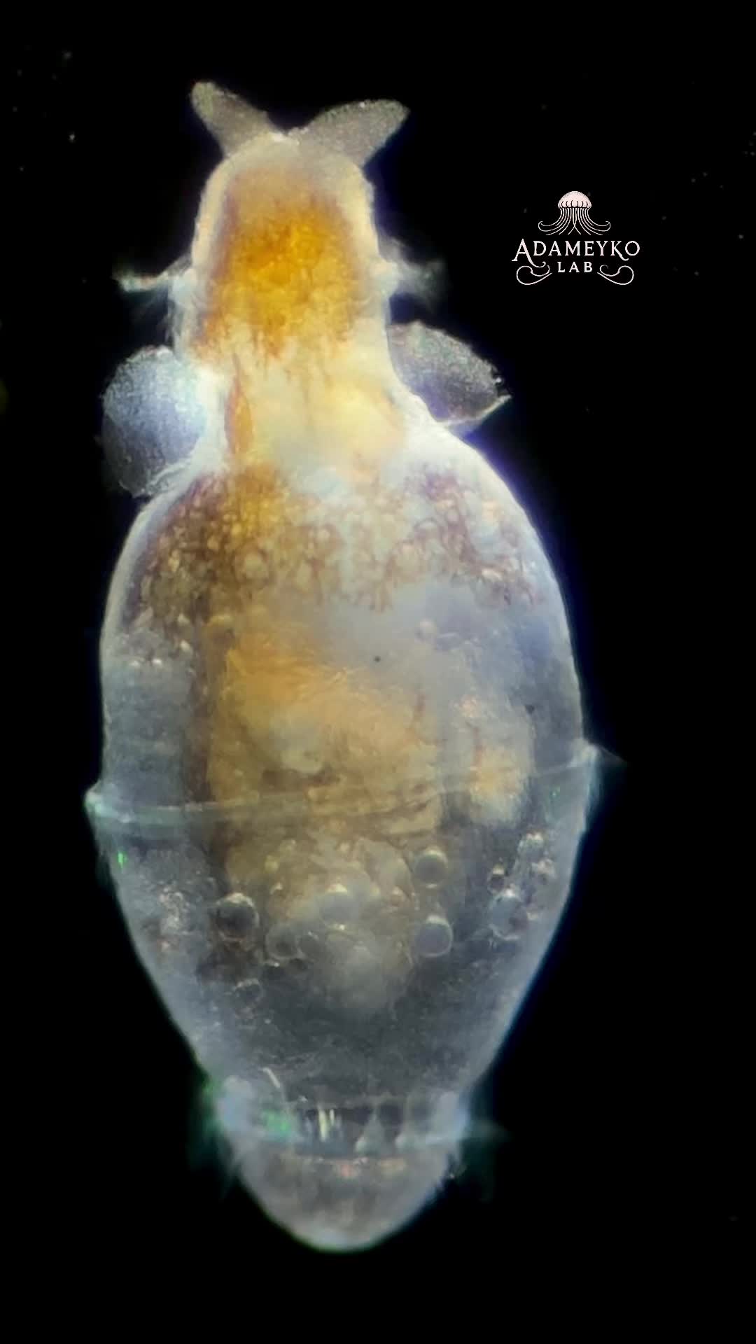 @The_story_of_a_biologist
