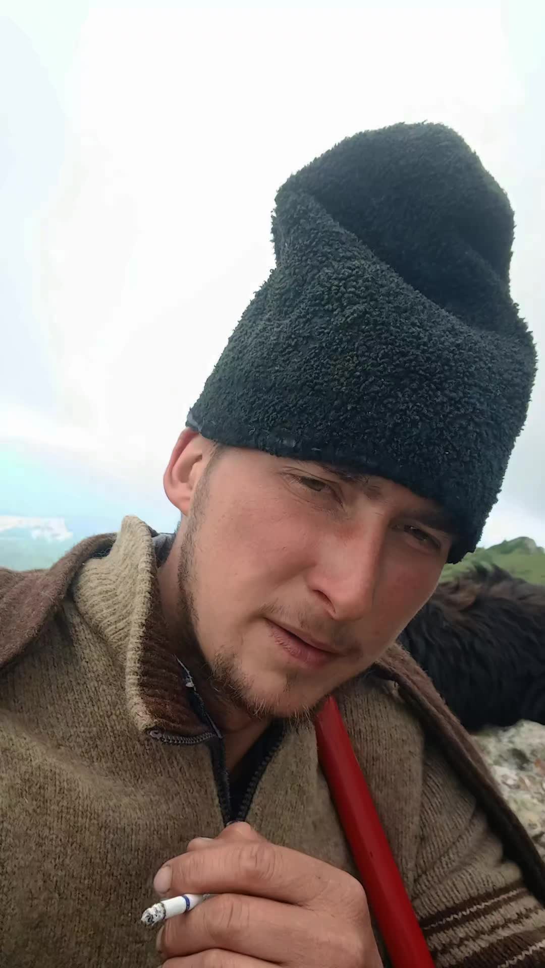@Jidanu 🌲🐕🐑🌲❤️