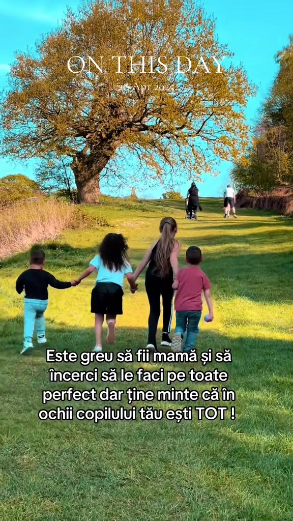 @Andreea Toldea