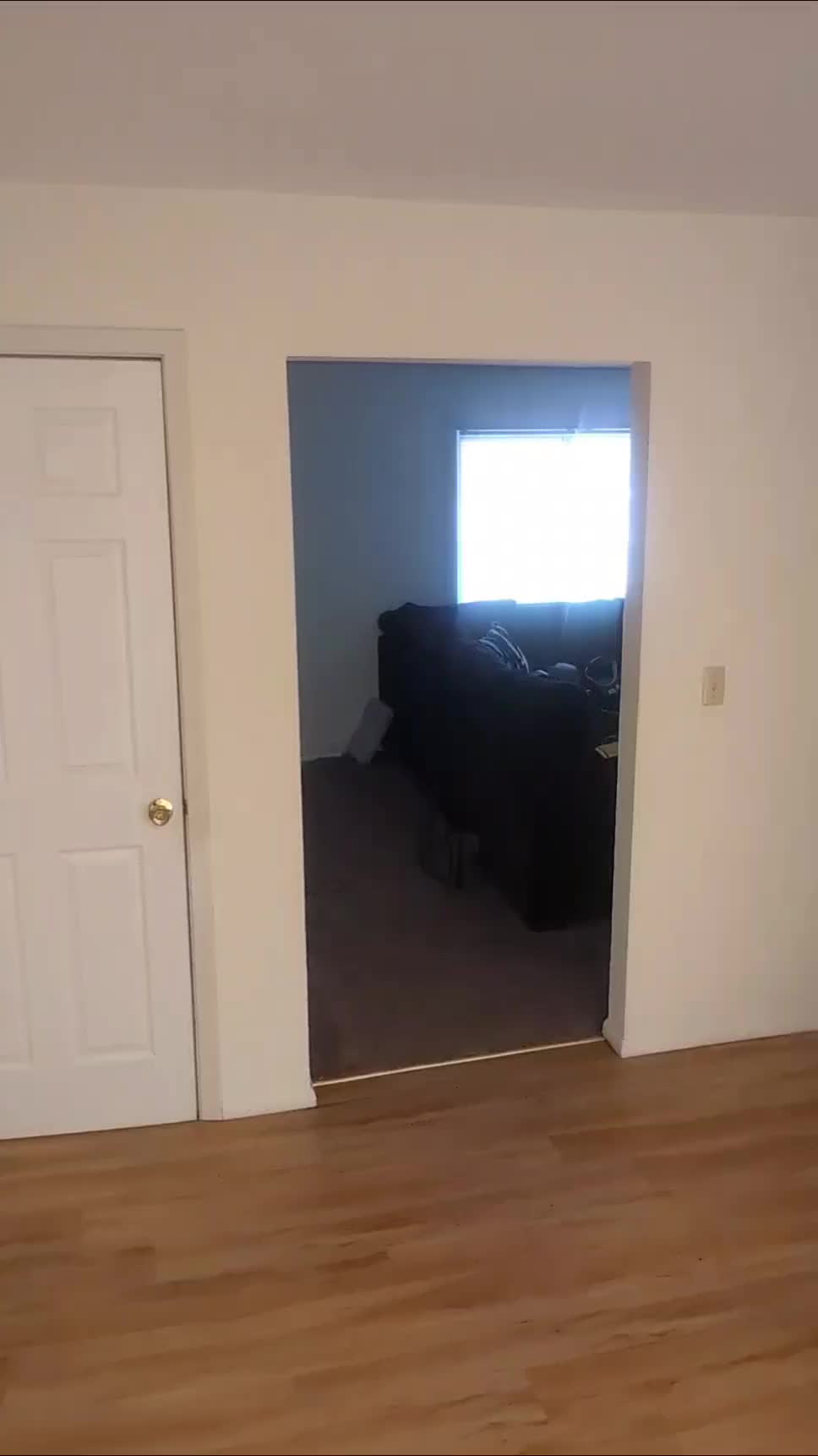 @jaythedon31