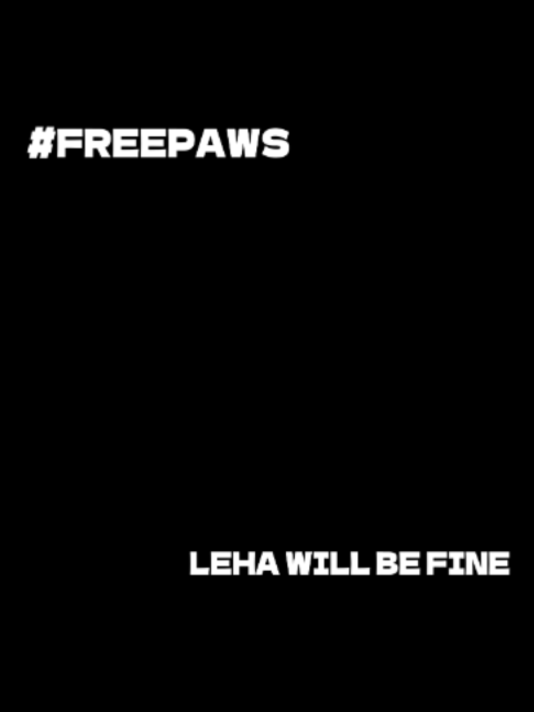@Leha_pawswww