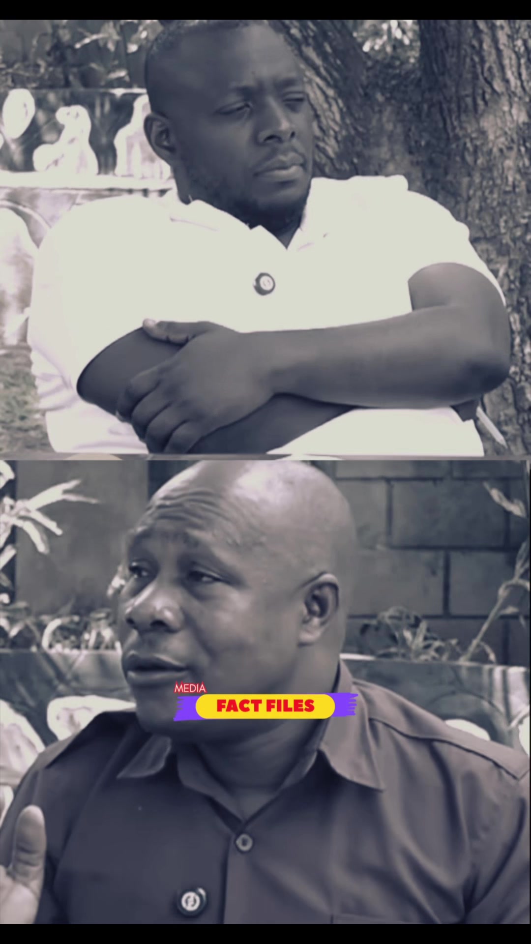 @FactFilesMedia