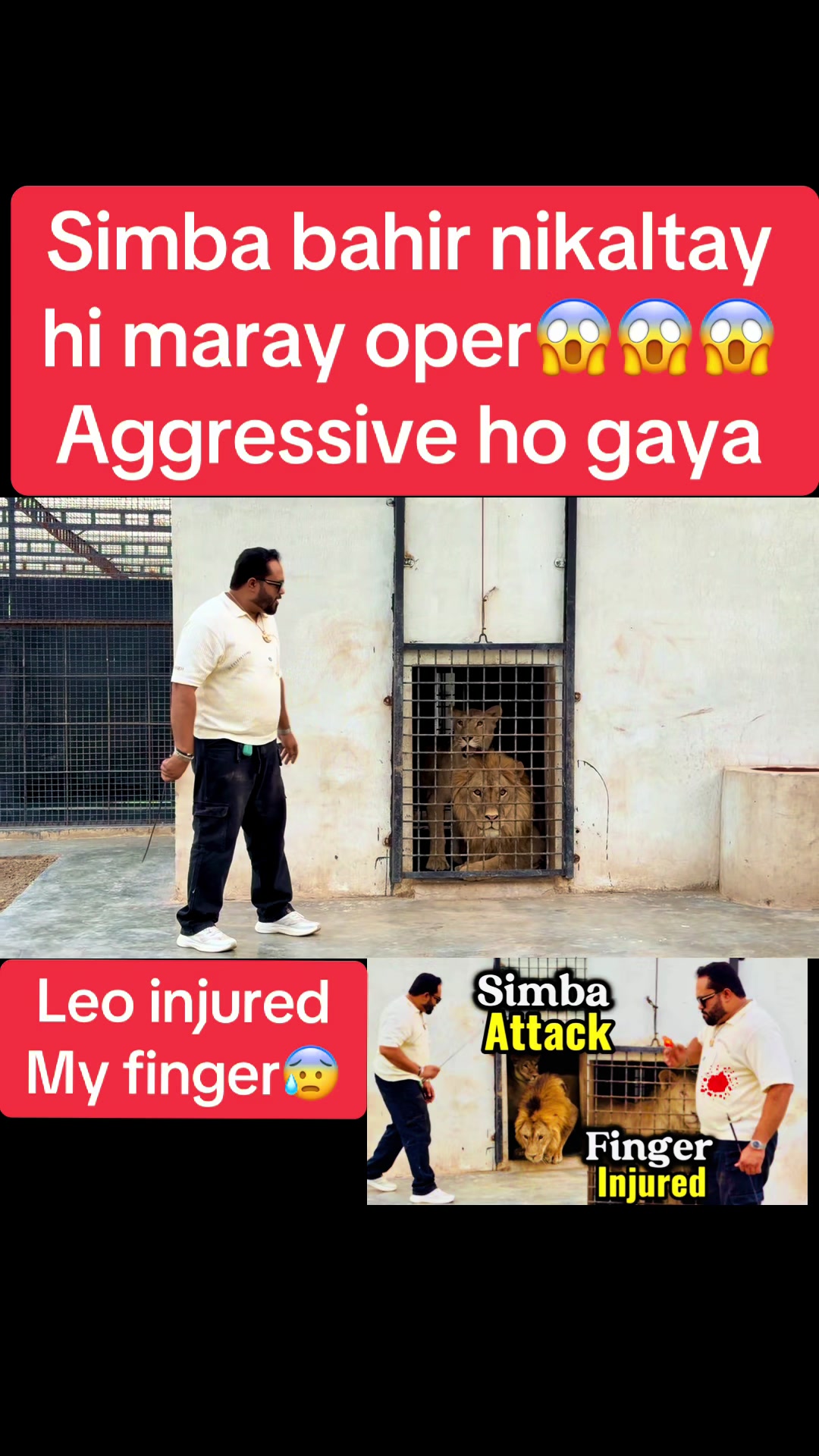 @Mian saqib