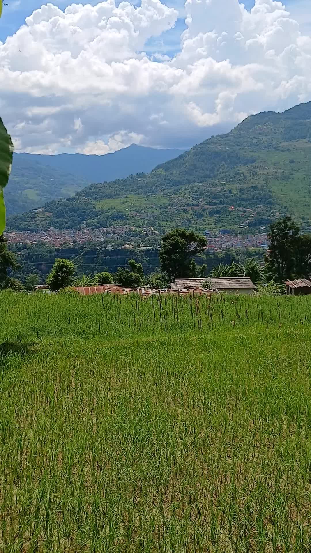 @महत हरी
